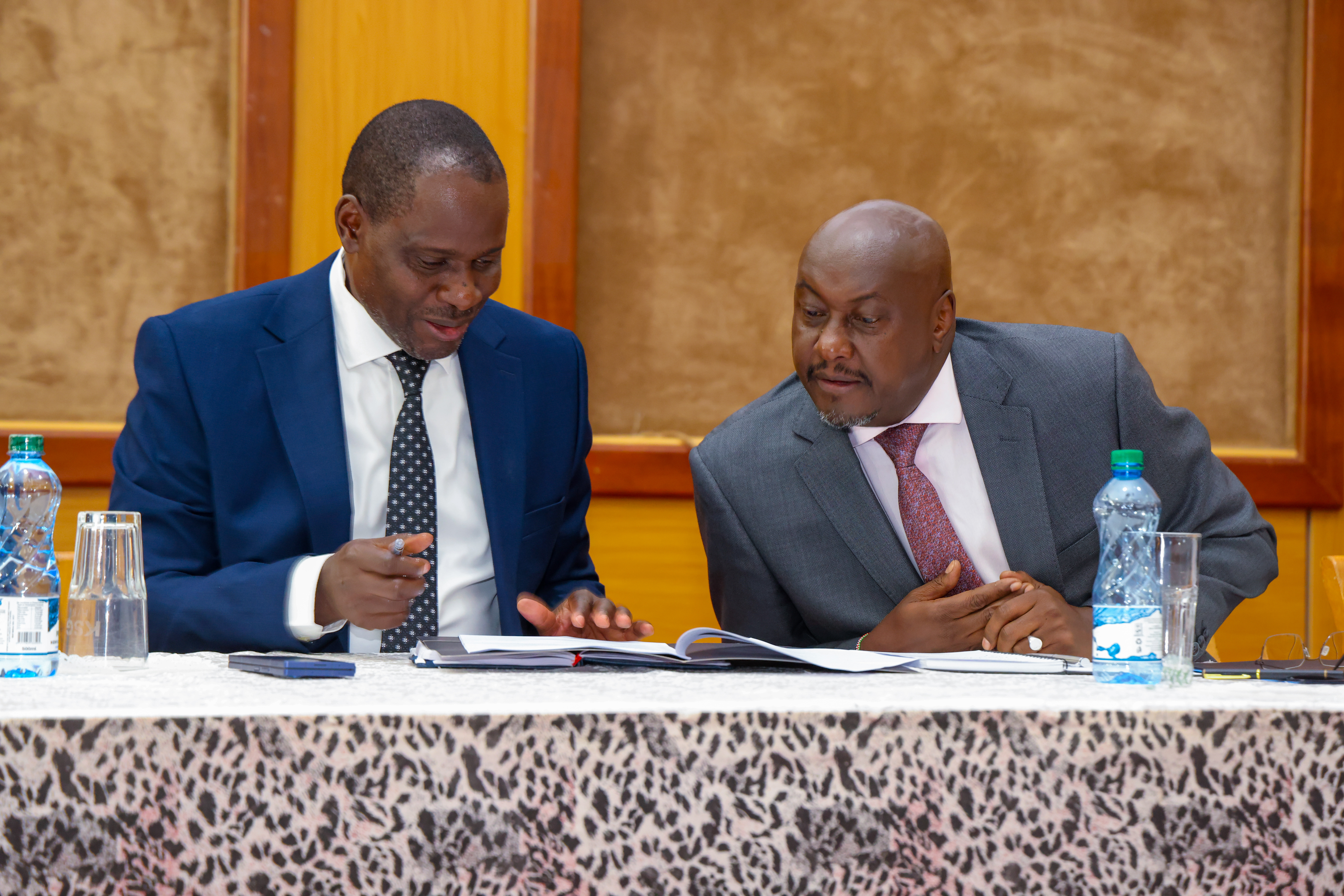 Audit of Government offices
